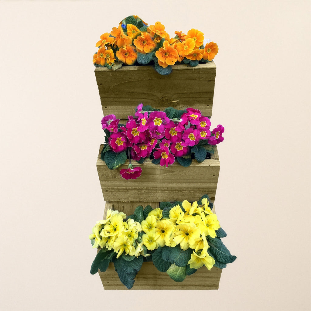 Softwood Wall Planter