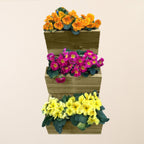 Softwood Wall Planter