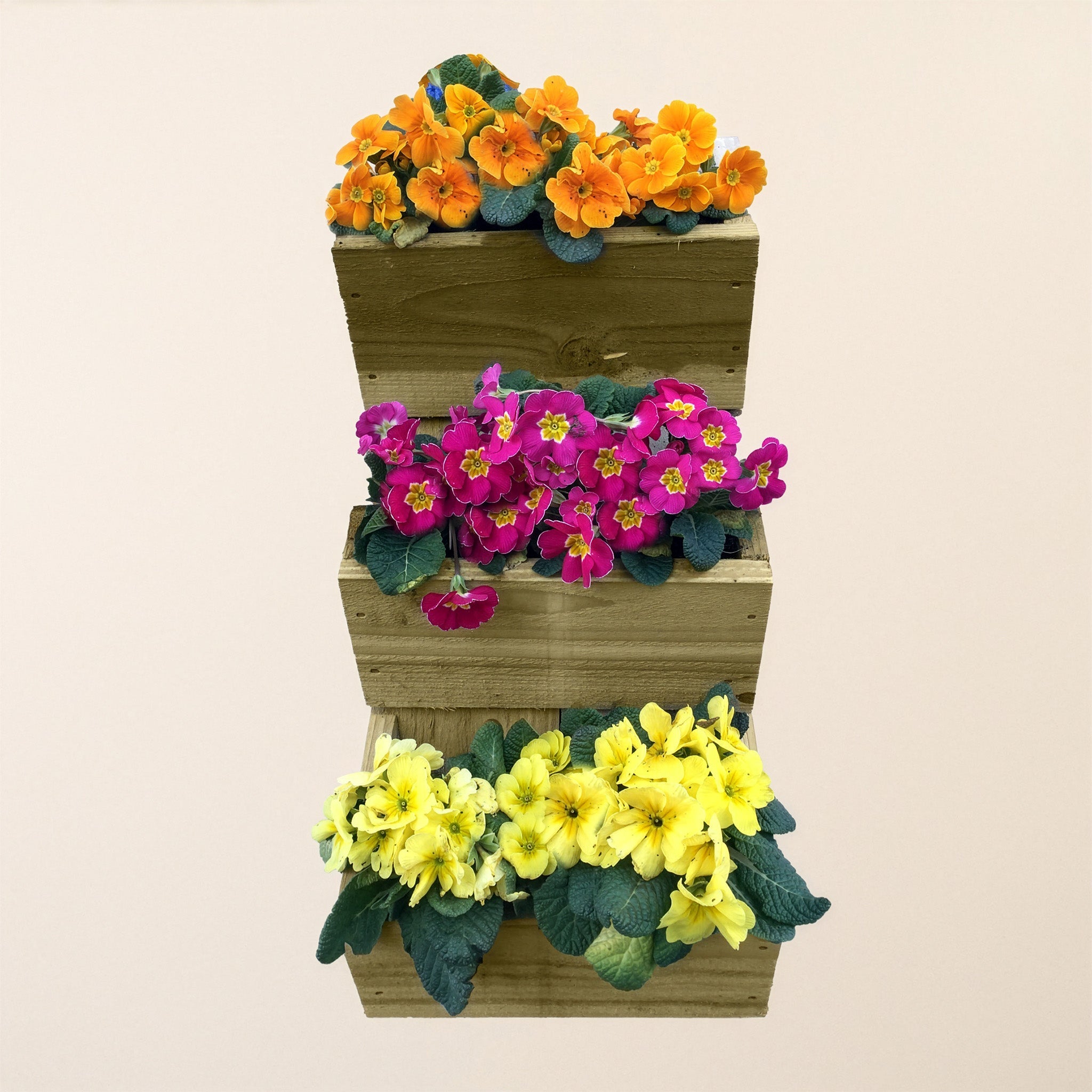 Softwood Wall Planter