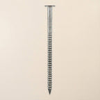 Stainless Steel Nails
