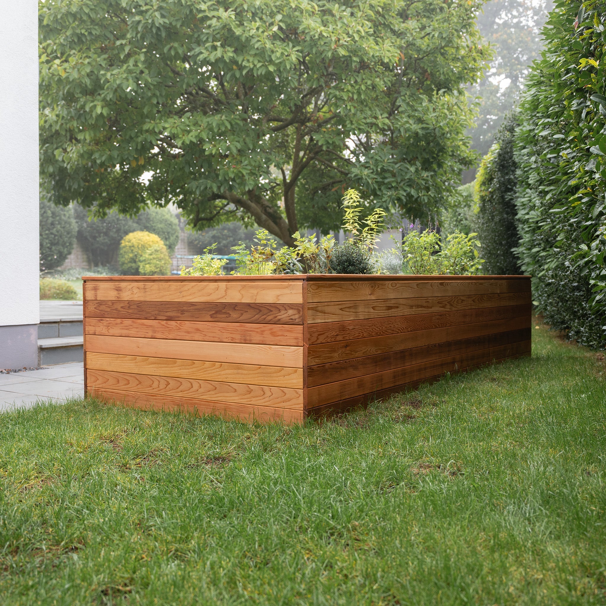 Western Red Canadian Cedar Tongue & Groove 95mm x 19mm Cladding