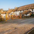 Exbourne Iroko Hardwood Curved Heel Gate