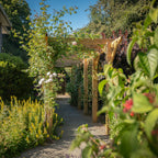 Wooden Pergola - Flat & Open Roof