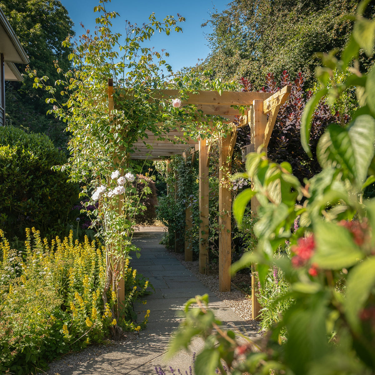 Wooden Pergola - Flat & Open Roof