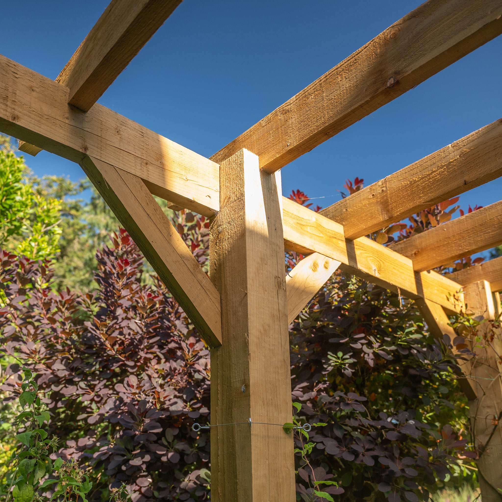 Wooden Pergola - Flat & Open Roof