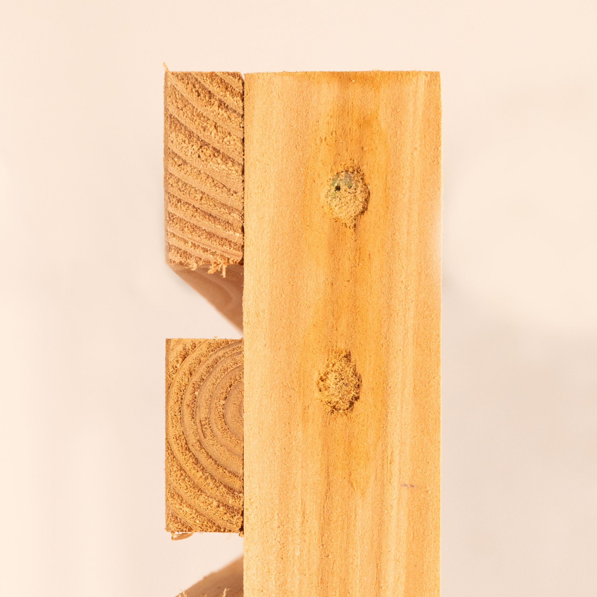 Cedar Single Slatted Gate