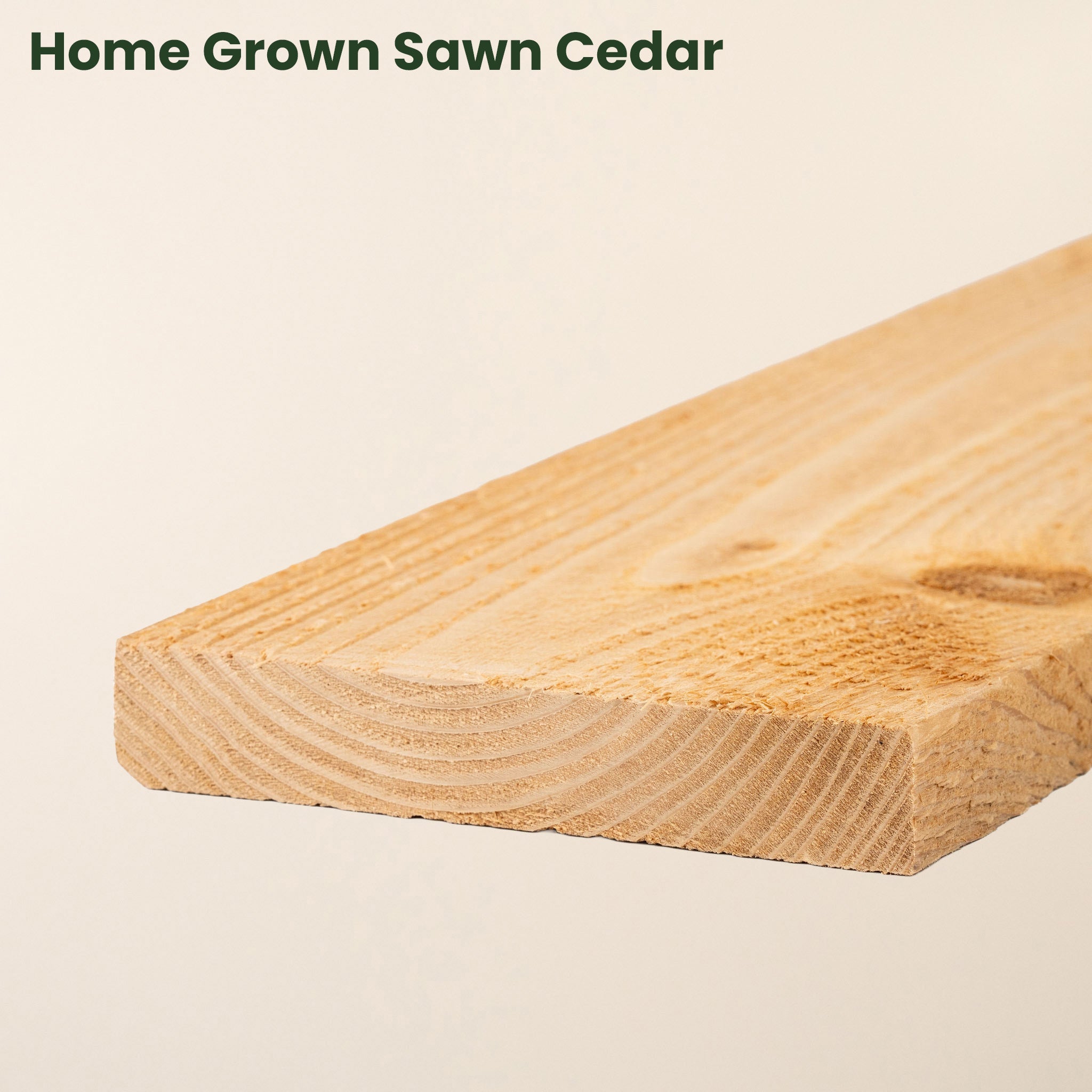 Free 15cm Sample (6" x 1" Timber)