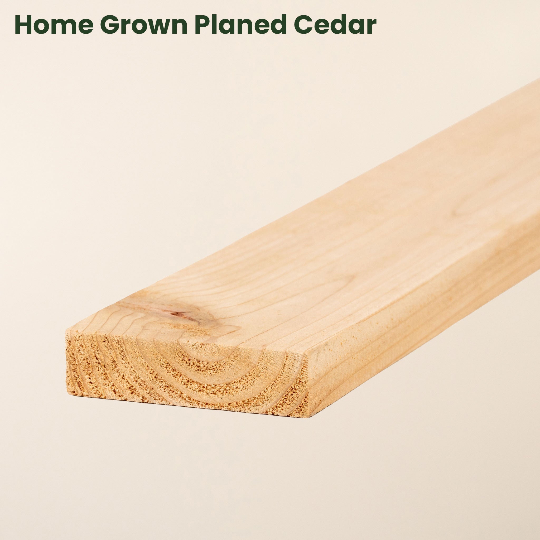 Free 15cm Sample (3" x 1" Timber)