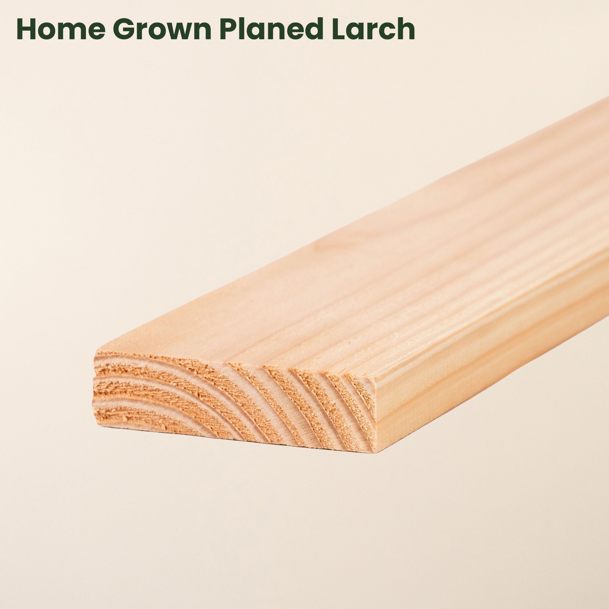 Free 15cm Sample (3" x 1" Timber)
