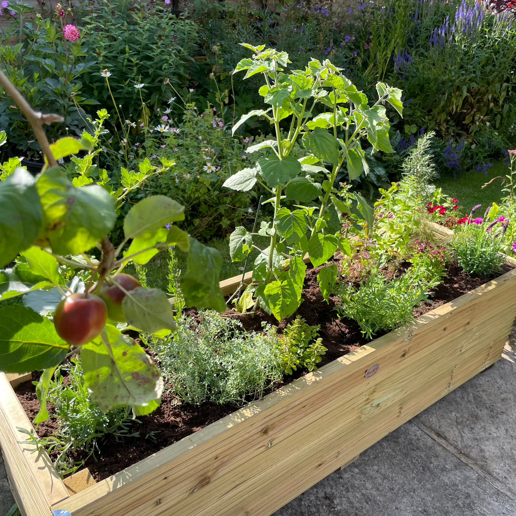 Scandinavian Redwood Deluxe Decking Planter