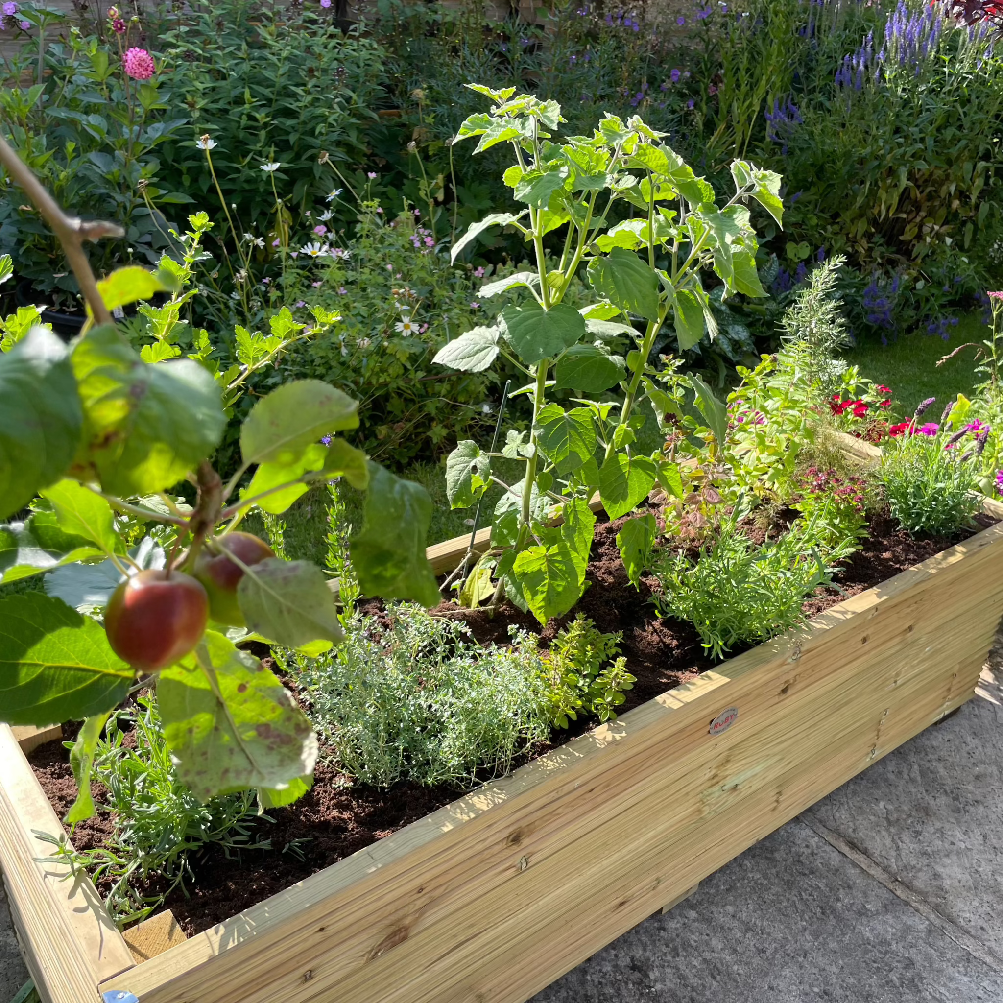 Scandinavian Redwood Deluxe Decking Planter