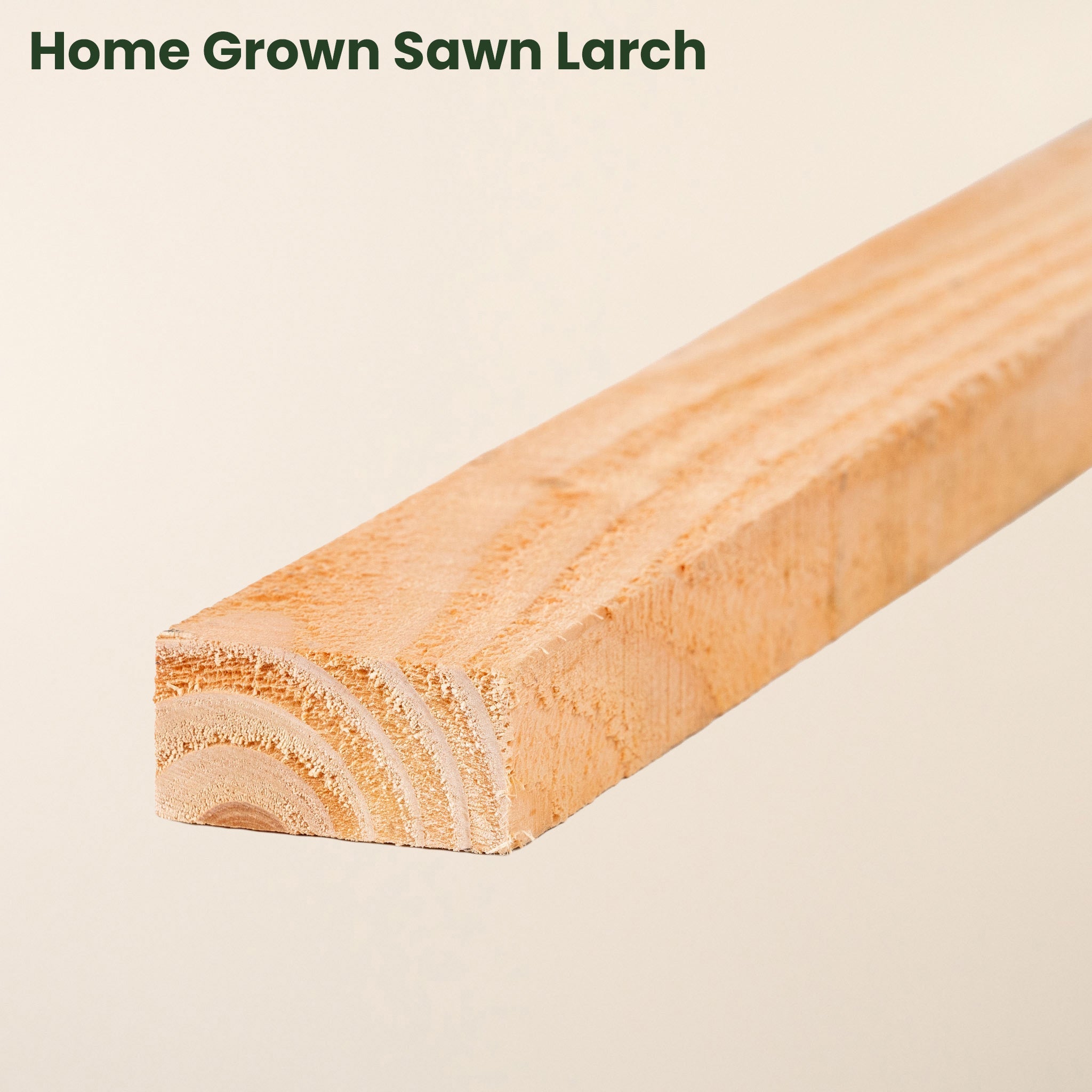 Free 15cm Sample (4" x 1" Timber)