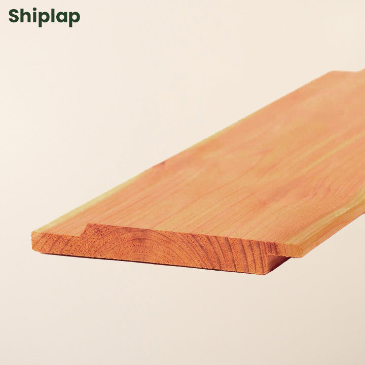 Free Canadian Cedar Sample (15cm)