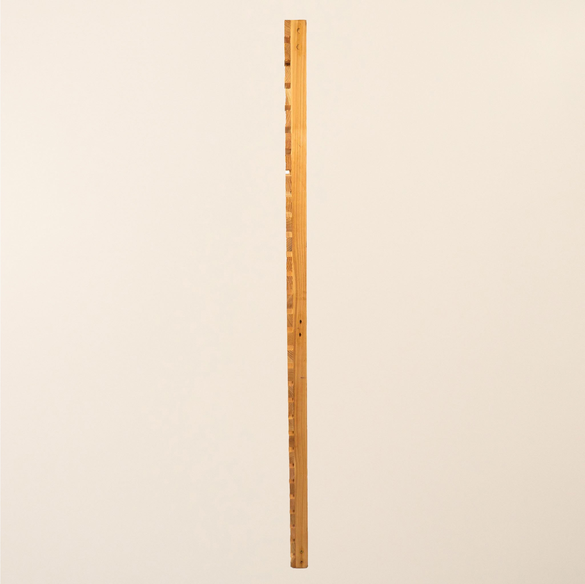 Cedar Slatted Gates Pair