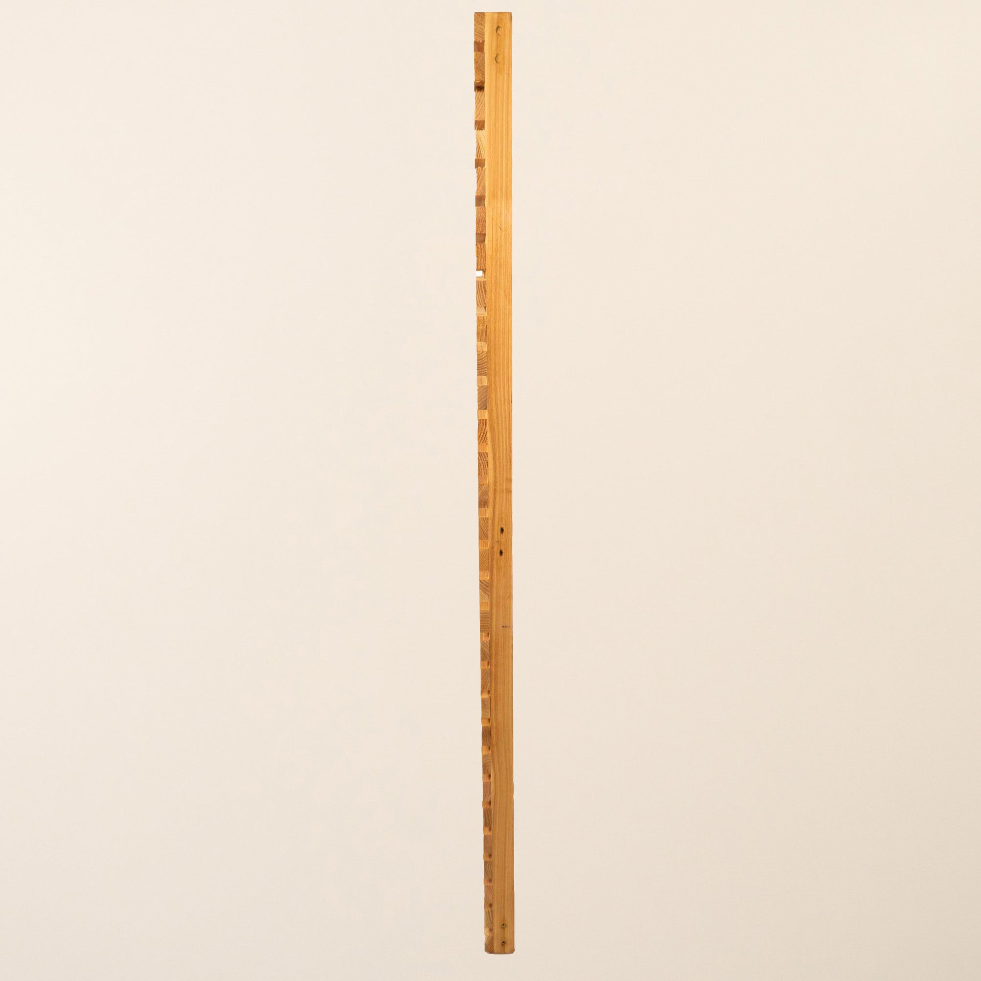 Cedar Single Slatted Gate
