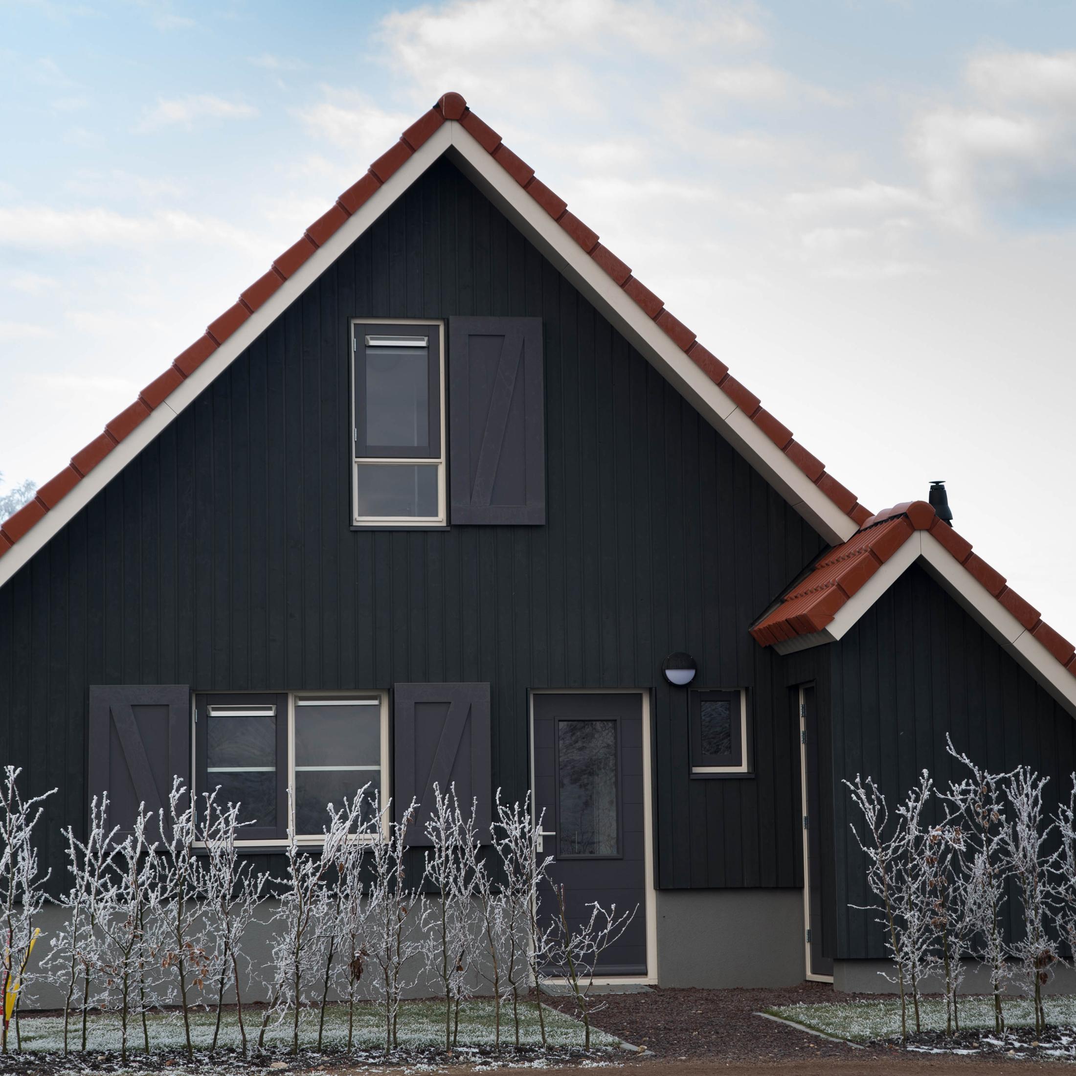 Wooden Shadow Gap Black Cladding