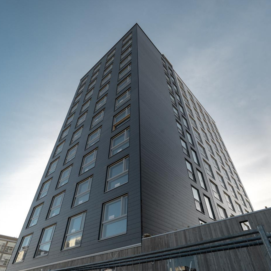 Wooden Shadow Gap Black Cladding