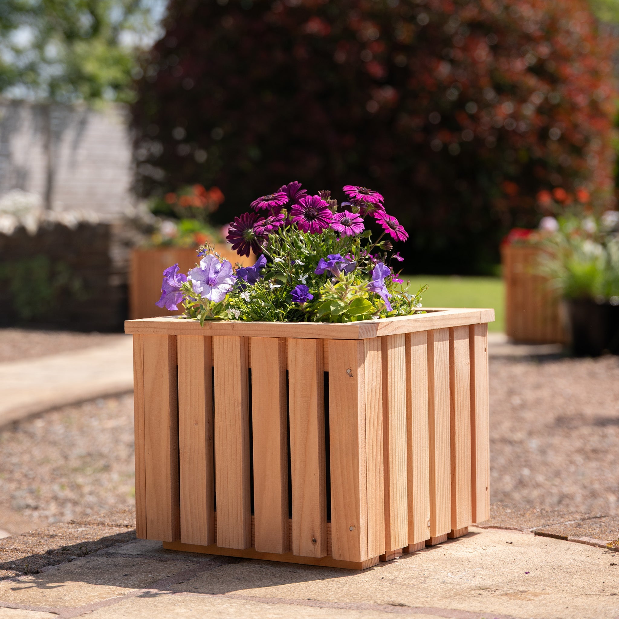 Ruby Ready Larch Slatted Planter