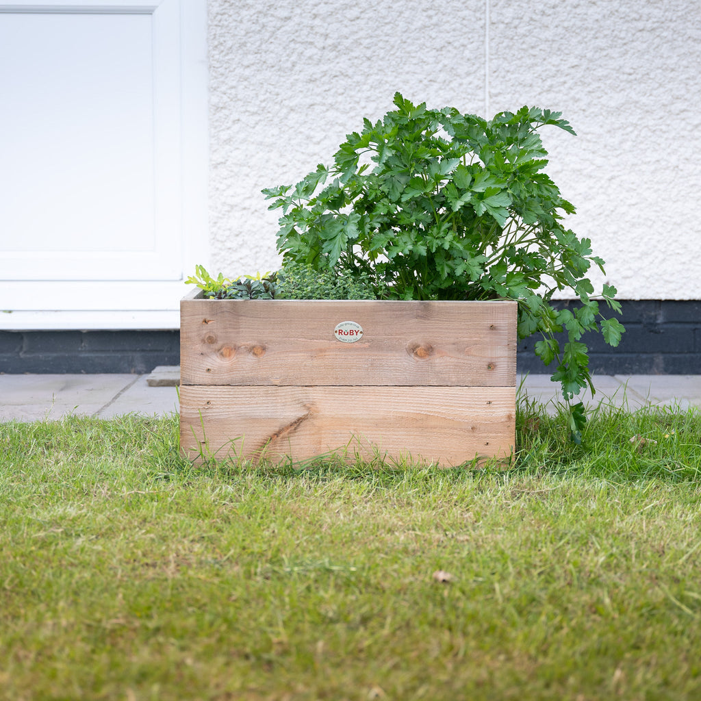 Larch Timber Planter