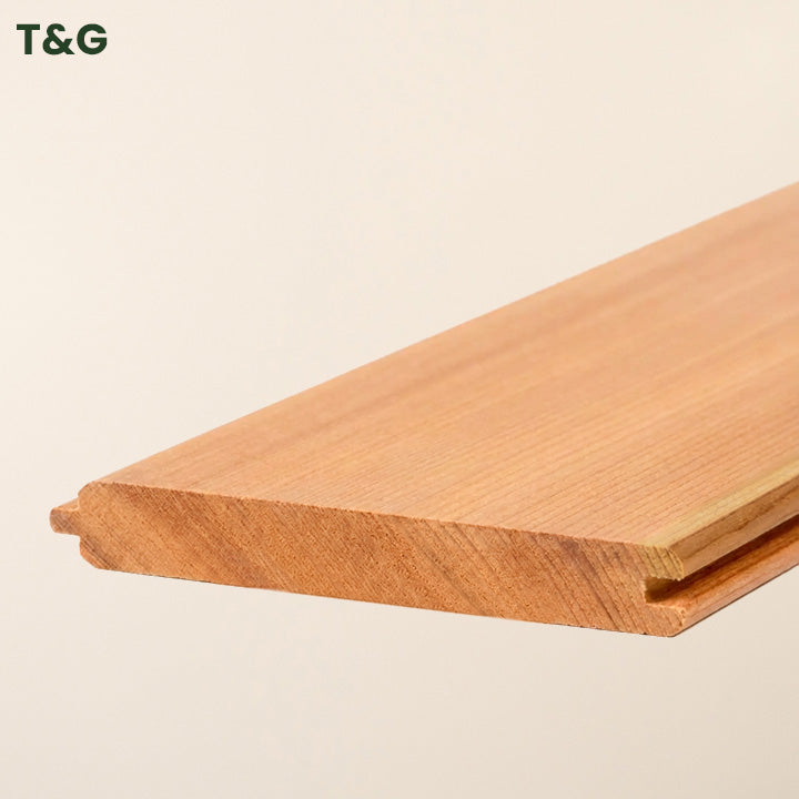 Free Canadian Cedar Sample (15cm)
