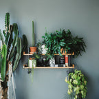 Scandinavian Redwood Shelf