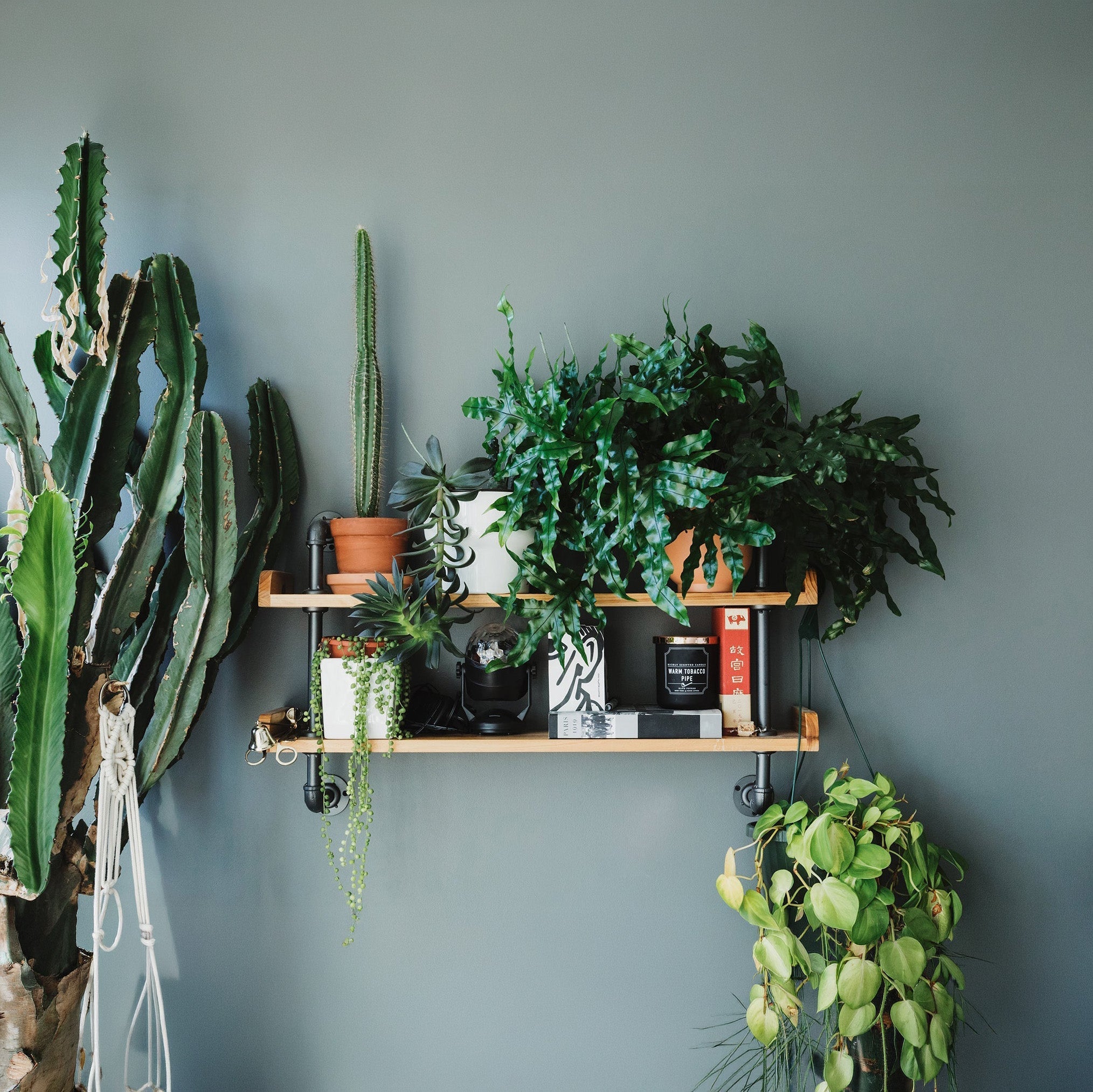 Scandinavian Redwood Shelf
