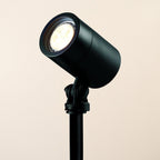 Ellumiere Black Spotlight
